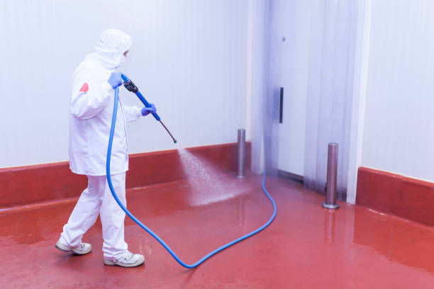 Best Driveway Cleaning and Restoration in Johnson Creek, WI