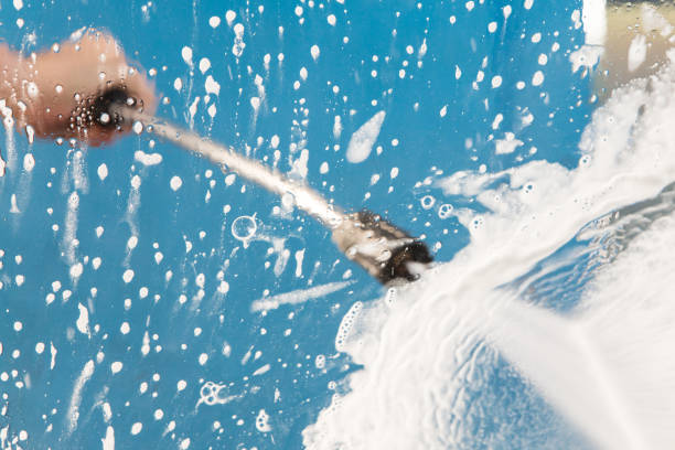 Best Roof Cleaning and Mildew Removal in Johnson Creek, WI